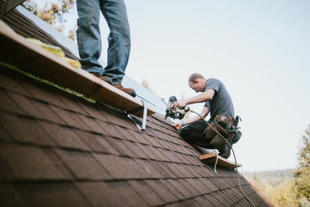 Best Roof Gutter Cleaning  in Agency Village, SD