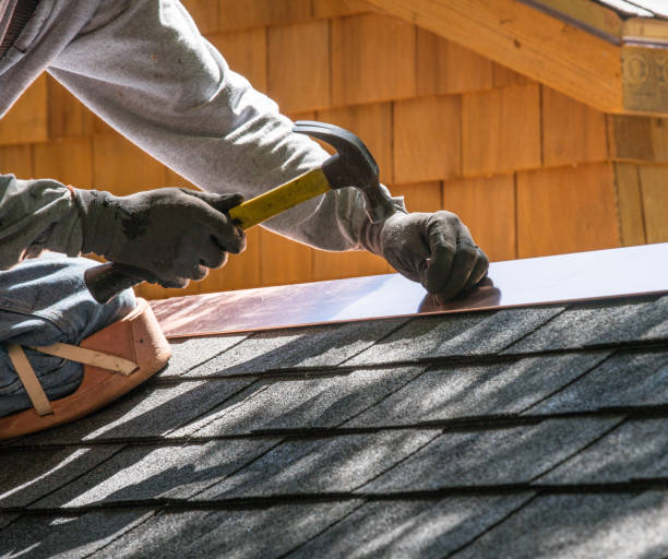 Best Metal Roofing Contractor  in Agency Village, SD
